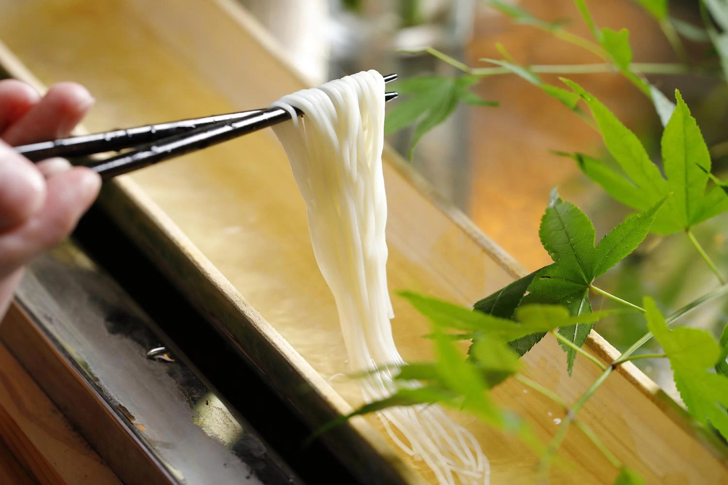 mì trôi ống tre Nhật Bản