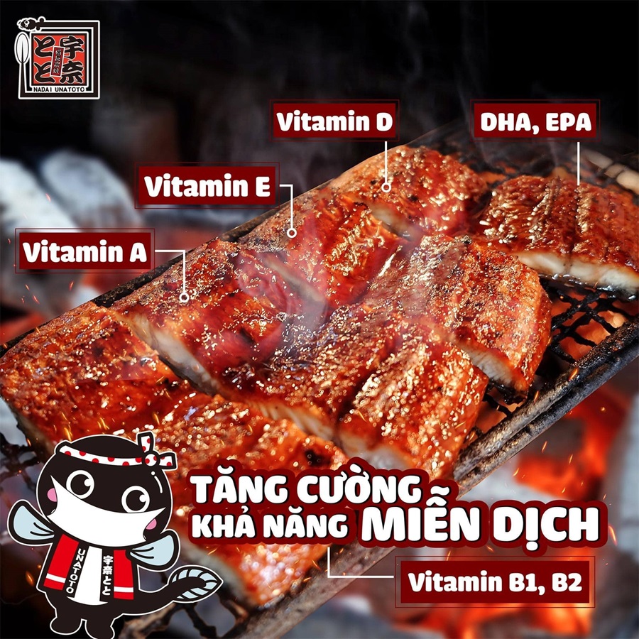 Lươn Có Tác Dụng Gì?